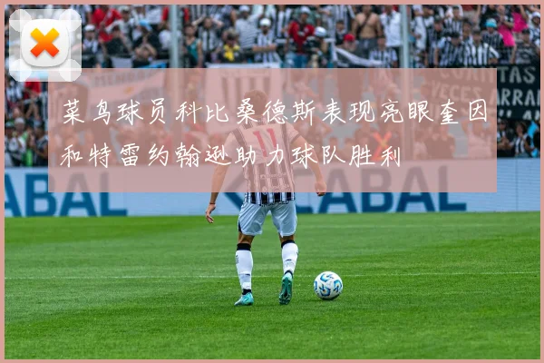 菜鸟球员科比桑德斯表现亮眼奎因和特雷约翰逊助力球队胜利