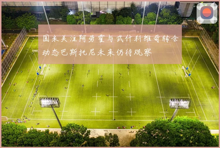 国米关注阿劳霍与武什科维奇转会动态巴斯托尼未来仍待观察