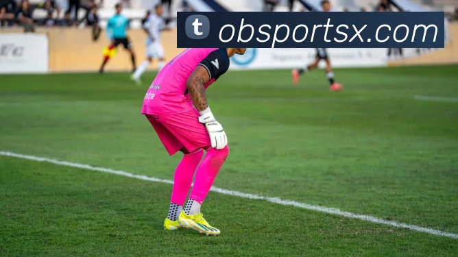 OB体育APP 高清赛事图